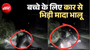 Japan Bear Attack: बच्चे के लिए कार से भिड़ गई 100KG की मादा भालू