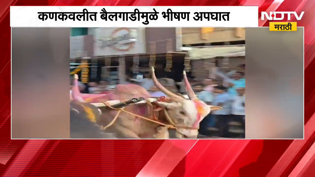 Kankavli मध्ये बैलगाडीमुळे भीषण अपघात, बैलगाडीच्या जीवघेण्या प्रथेवर आळा घालण्याची मागणी | NDTV