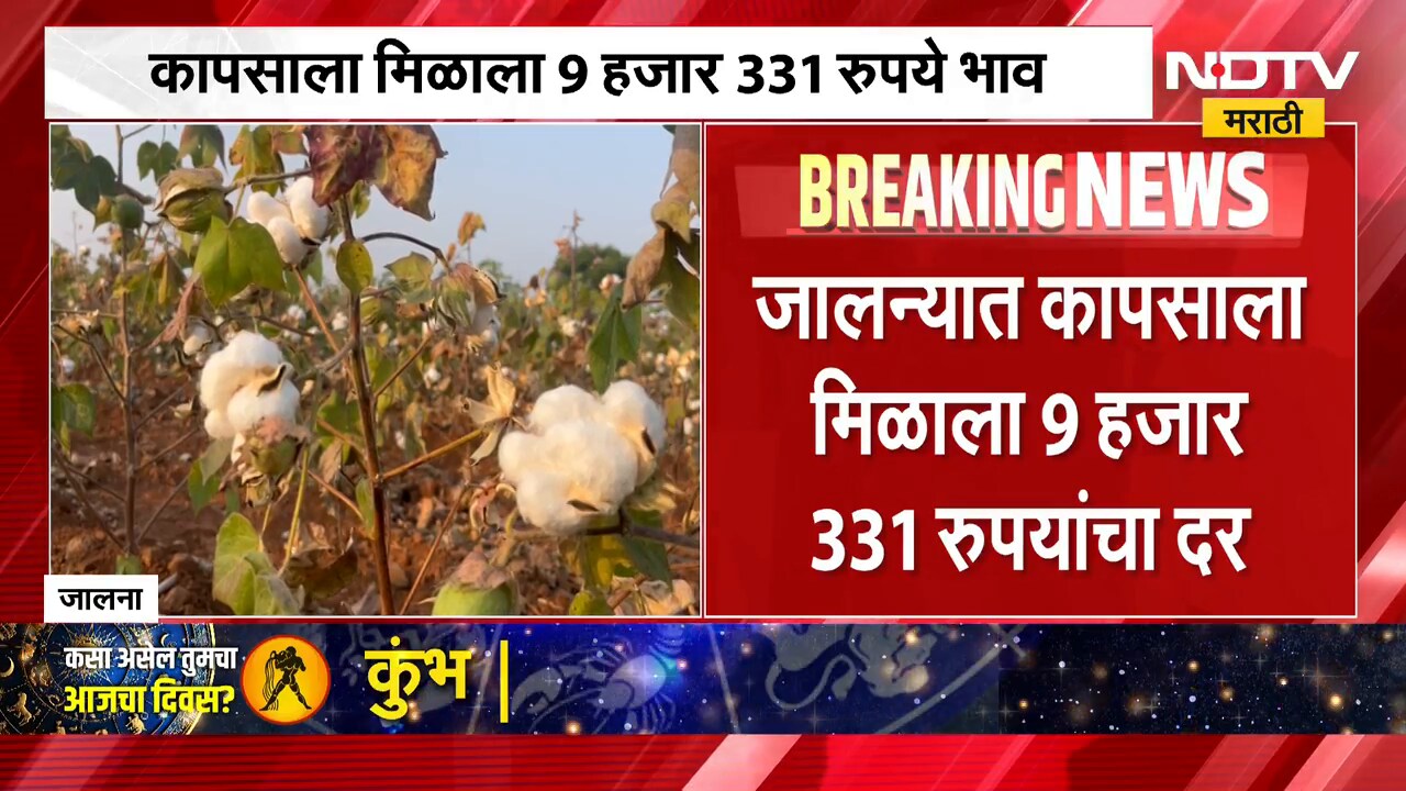 Jalna | जालन्यात कापसाला विक्रमी 9 हजार 331 रुपयांचा दर, शेतकऱ्यांमध्ये समाधान ।  NDTV मराठी