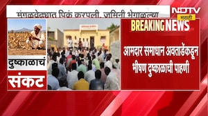 Nashik । दोन महिन्यांपासून पाऊस गायब, होत्याचं नव्हतं झालं, पिकावर चालवावा लागला ट्रॅक्टर