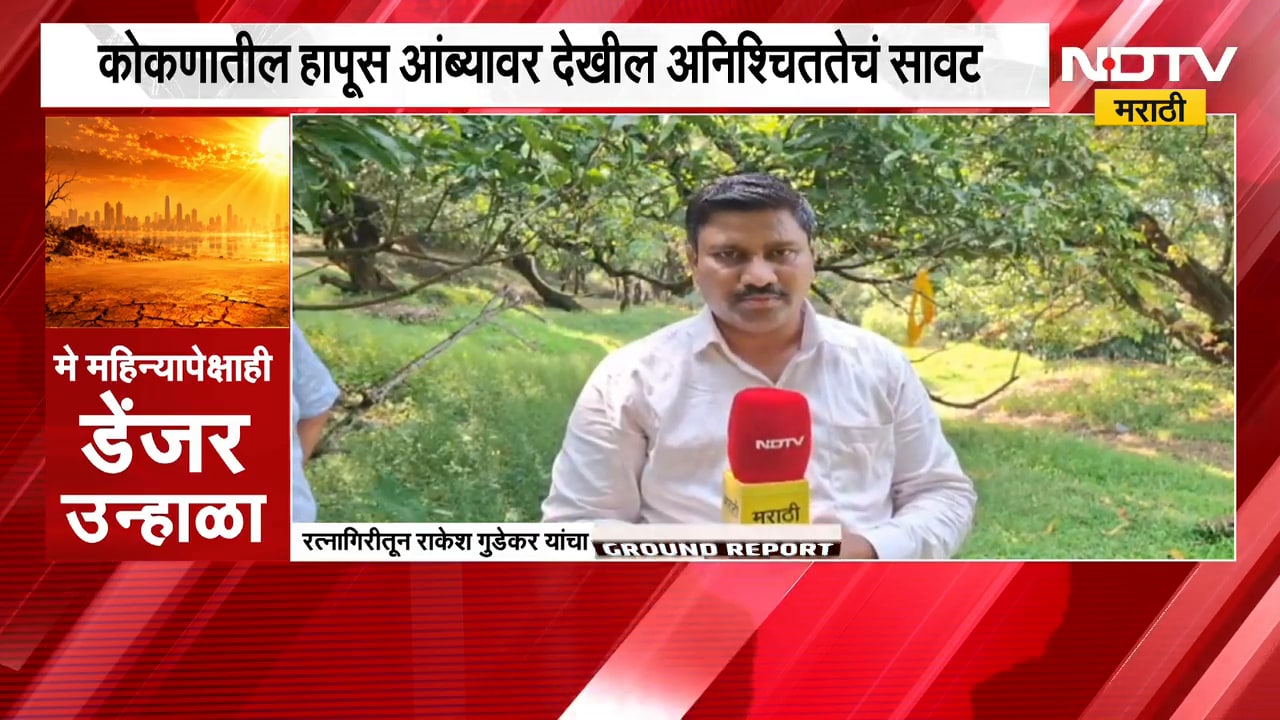 Weather Update | मे महिन्यापेक्षाही डेंजर उन्हाळा, बदललेल्या वातावरणाचा हापूसवर परिणाम | NDTV