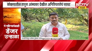 Weather Update | मे महिन्यापेक्षाही डेंजर उन्हाळा, बदललेल्या वातावरणाचा हापूसवर परिणाम | NDTV