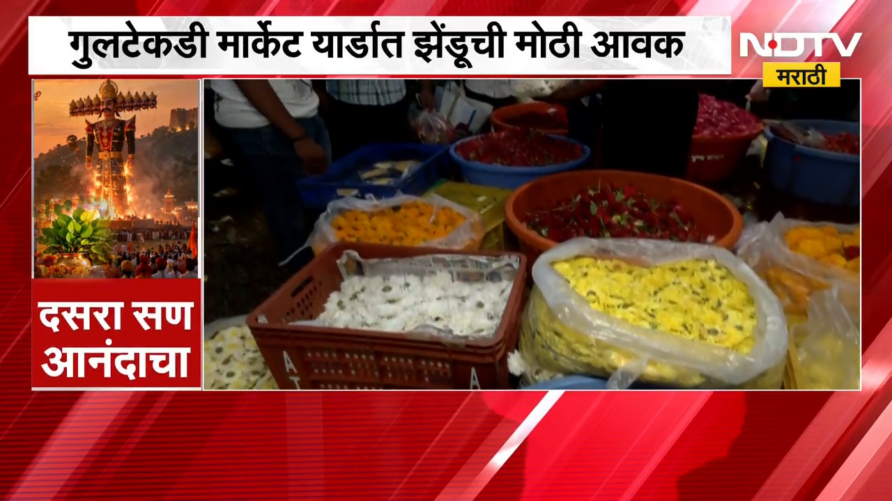 Pune | Marigold Flowers | झेंडूच्या फुलांनी पुण्यातील मार्केट यार्डचा फूलबाजार बहरला | NDTV