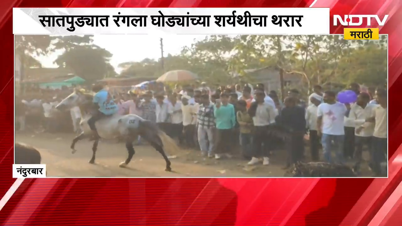Nandurbar| दसऱ्यानिमित्त घोड्यांच्या टापांनी उडाला धुरळा; महाराष्ट्र, गुजरात घोड्यांचा सहभाग | NDTV