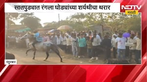 Nandurbar| दसऱ्यानिमित्त घोड्यांच्या टापांनी उडाला धुरळा; महाराष्ट्र, गुजरात घोड्यांचा सहभाग | NDTV