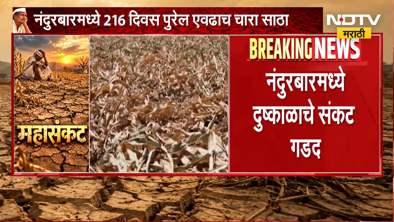 Nandurbar Drought | नंदुरबारमध्ये दुष्काळाचे संकट गडद, जिल्ह्याबाहेर चारा वाहतुकीवर प्रशासनाची बंदी