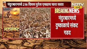 Nandurbar Drought | नंदुरबारमध्ये दुष्काळाचे संकट गडद, जिल्ह्याबाहेर चारा वाहतुकीवर प्रशासनाची बंदी