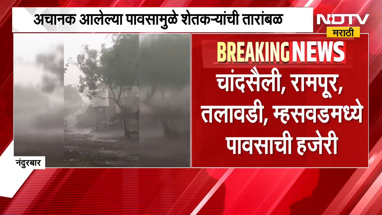 Nandurbar Rain | दुष्काळात नंदुरबार जिल्ह्यातील सातपुड्यात पाऊस, शेतकऱ्यांची तारांबळ | NDTV Marathi