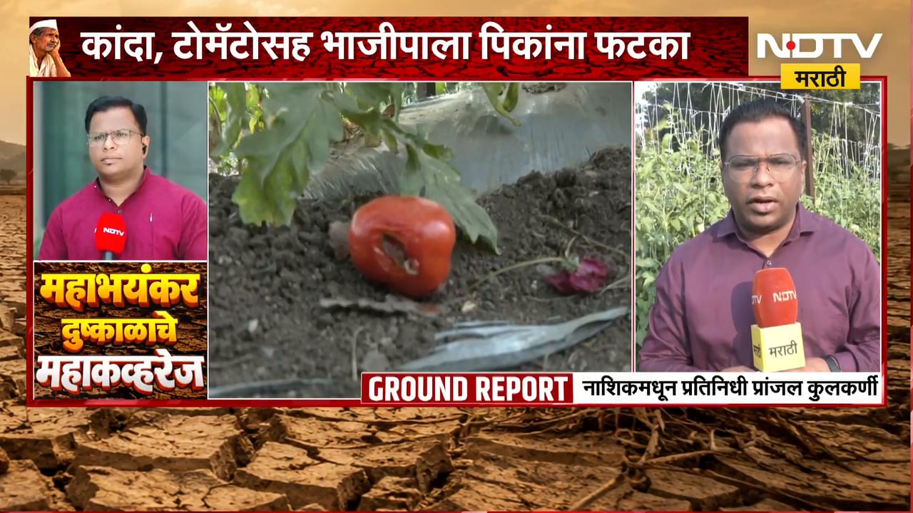Nashik Drought| नाशिकच्या 15 पैकी 13 तालुक्यांत दुष्काळ; कांडा, टोमॅटोसह भाजपाला पिकांना फटका | NDTV