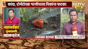 Nashik Drought| नाशिकच्या 15 पैकी 13 तालुक्यांत दुष्काळ; कांडा, टोमॅटोसह भाजपाला पिकांना फटका | NDTV