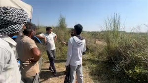 13 फुट लंबा, 93 किलो वजन... पंचकूला में मिला 30 साल पुराना विशालकाय अजगर