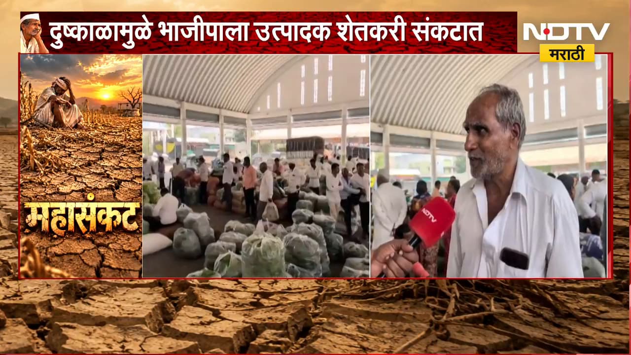 Pune Drought| दसऱ्याच्या मुहूर्तावर भाज्यांचे दर घसरले, दुष्काळामुळे भाजीपाला उत्पादक शेतकरी संकटात