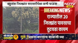 Maharashtra Rain Update | राज्यात पावसाचा तुटवडा कायम, सरासरीपेक्षा कमी पाऊस झाल्याचे चिंता वाढली