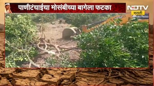 Sambhajinagar | दुष्काळामुळे पाणीटंचाई, 5 एकरातील फळबागेवर फिरवला जेसीबी | NDTV Marathi