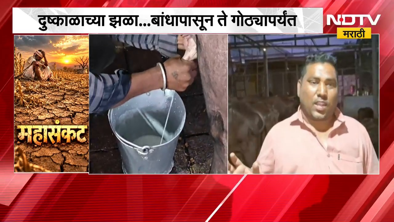 दुष्काळाच्या झळा... बांधापासून ते गोठ्यापर्यंत,मुक्या जीवांच्या घासासाठी शेतकरी झगडतोय | Drought