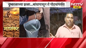 दुष्काळाच्या झळा... बांधापासून ते गोठ्यापर्यंत,मुक्या जीवांच्या घासासाठी शेतकरी झगडतोय | Drought