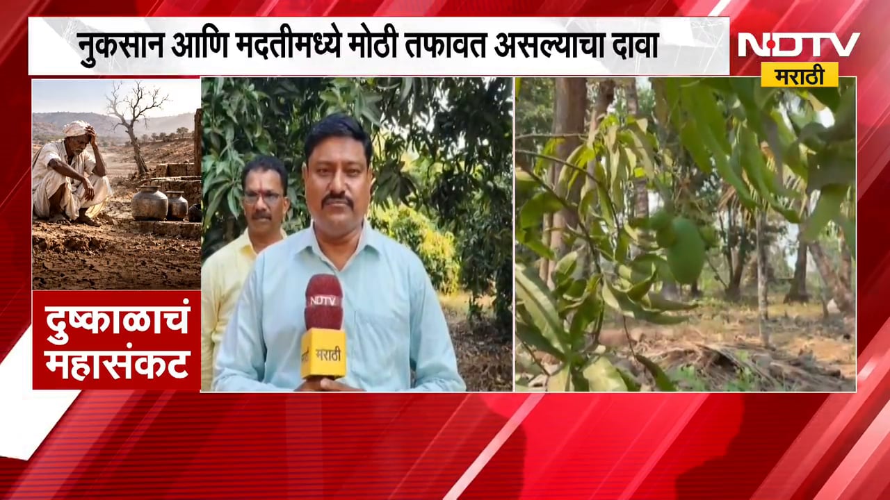 Sindhudurg| आंबा-काजू उत्पादकांना नुकसान भरपाई; अपुऱ्या मदतीमुळे बागायतदार नाराज,याचाच घेतलेला आढावा