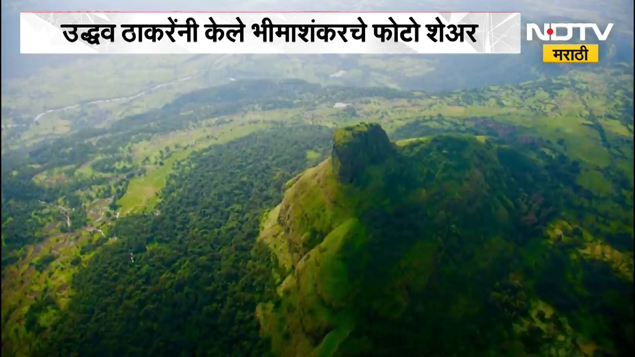 Bhimashankar Tree Cutting Controversy | कर्जत भीमाशंकरमध्ये काढलेले फोटो उद्धव ठाकरेंकडून शेअर