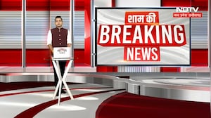 Dindori Elephant Attack: जंगली हाथी के हमले में किसान घायल, जिला अस्पताल रेफर  | Dindori Top News