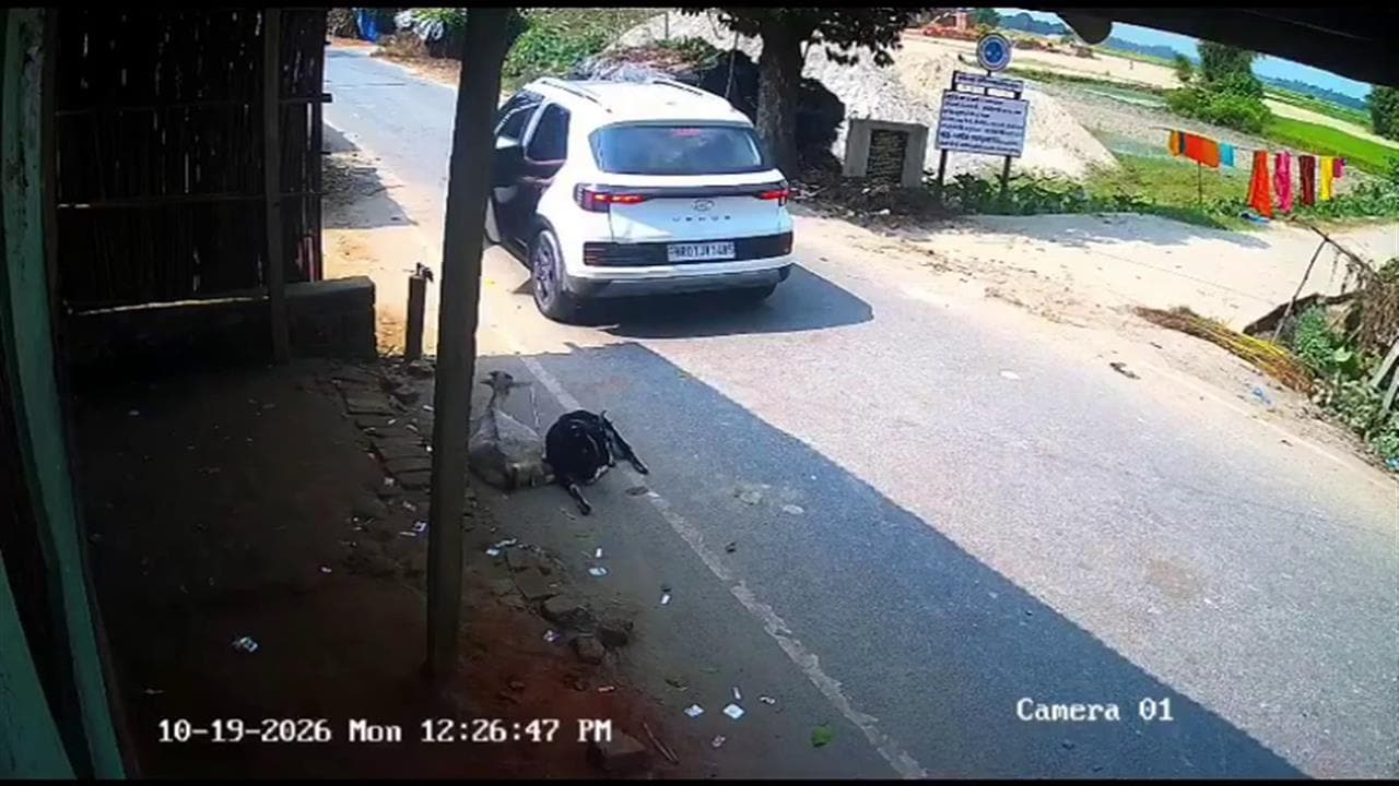 लाखों की कार से आया और सड़क से बकरी चुरा ले गया... पूर्णिया में एक बार फिर वायरल हुआ चोरी का वीडियो
