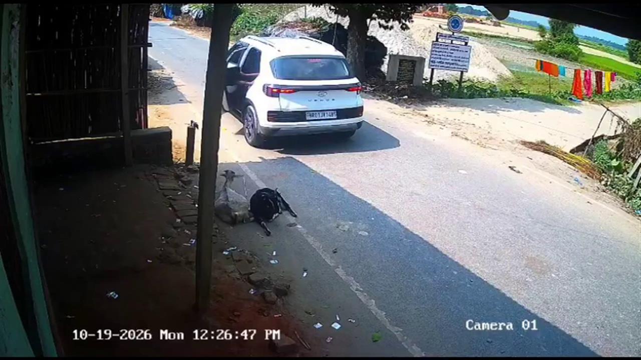लाखों की कार से आया और सड़क से बकरी चुरा ले गया... पूर्णिया में एक बार ...
