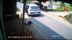 लाखों की कार से आया और सड़क से बकरी चुरा ले गया... पूर्णिया में एक बार फिर वायरल हुआ चोरी का वीडियो