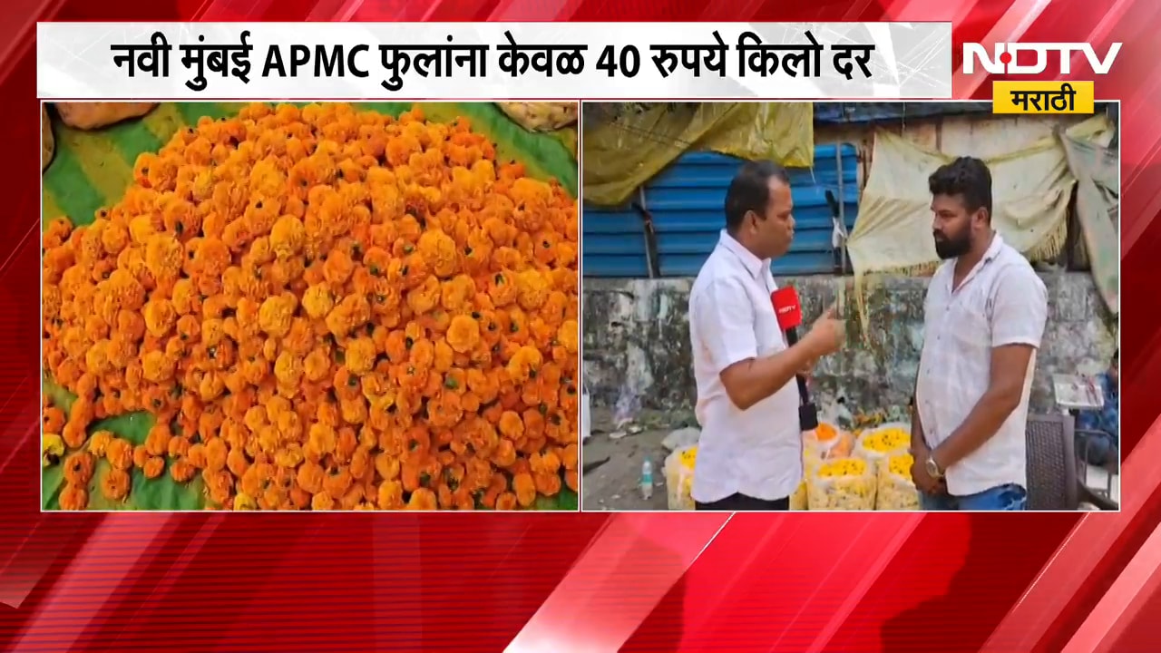Navi Mumbai APMC | नवी मुंबई APMC मध्ये फुलांना केवळ 40 रुपये किलो दर, वाहतूक खर्चही निघेना