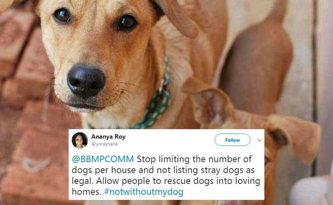 Outrage Over Bengaluru's "1 Pet Dog Per Flat" Regulation