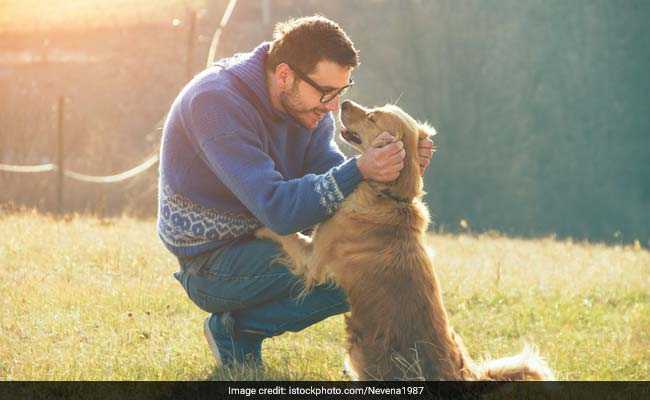 Dogs Can Read Human Facial Expressions, Claims Study