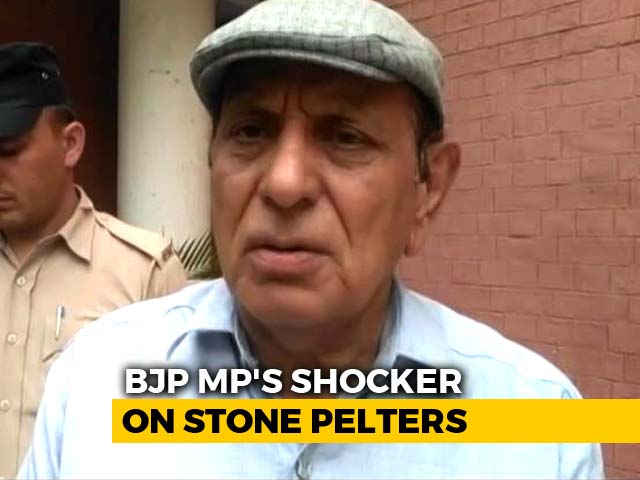 "Stone-Pelters Must Be Shot Dead": BJP Lawmaker On Centre's Kashmir Move