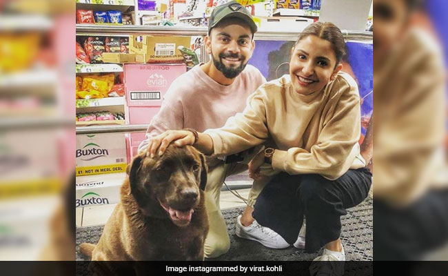 How Sweet Is Virat Kohli And Anushka Sharma's Photo With New Friend