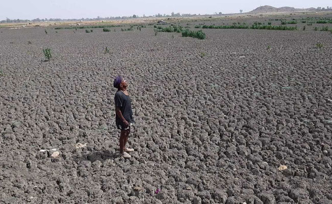 Hunger, Drought, Disease: UN Climate Report Reveals Dire Health Threats