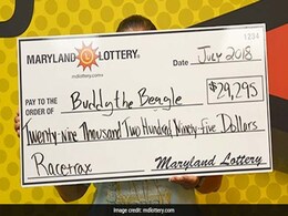 The Story Of How A Snake And A Dog Led To One Woman Winning The Lottery The Story Of How A Snake And A Dog Led To One Woman Winning The Lottery