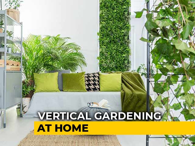 Goodbye Pollution, Hello Greenery: 4 Step Guide On How To Do Vertical Gardening