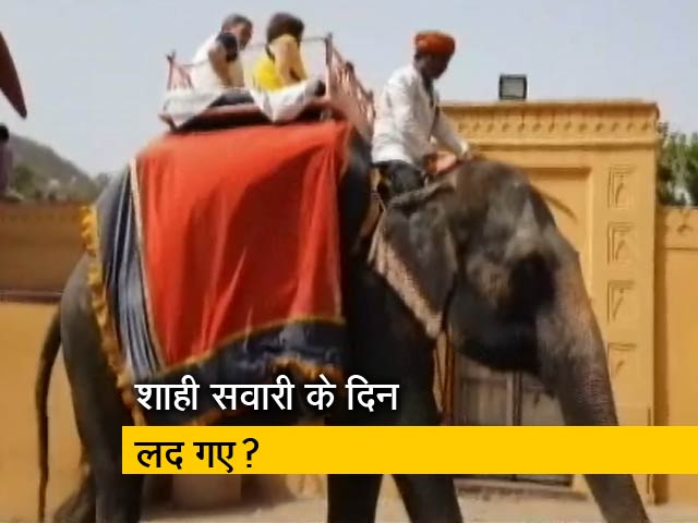 जयपुर के आमेर किले पर हाथी सवारी बंद होगी?