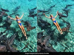 Shocking Photos: नदी में फोटोशूट करा रही थी मॉडल, पीछे आई शार्क और... Shocking Photos: नदी में फोटोशूट करा रही थी मॉडल, पीछे आई शार्क और...