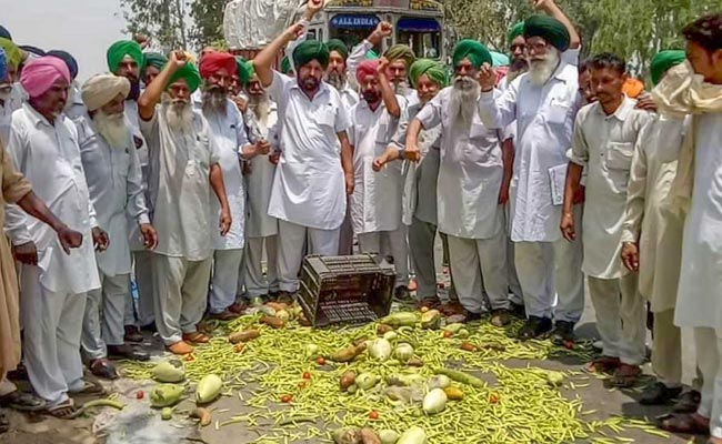 Agriculture Minister Slammed For Comment On Farmers' Protest