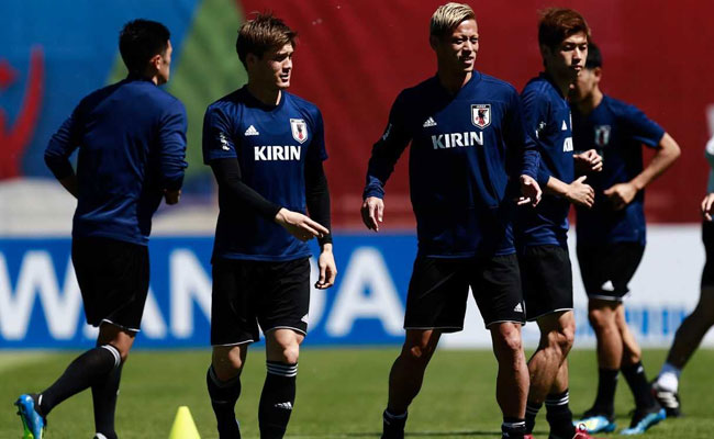 Psychic Parrot Predicts Japan's Loss In First World Cup Match