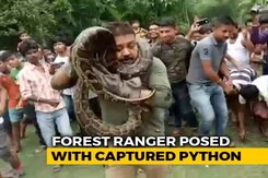 "Hold The Tail, Hold The...": Selfie Fail With Python Caught On Camera "Hold The Tail, Hold The...": Selfie Fail With Python Caught On Camera