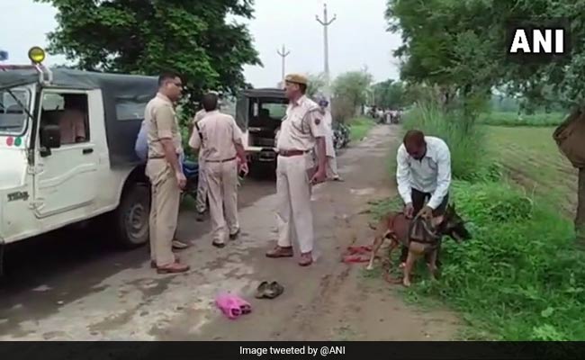 Man Beaten To Death In Rajasthan's Alwar On Suspicion Of Cow Smuggling