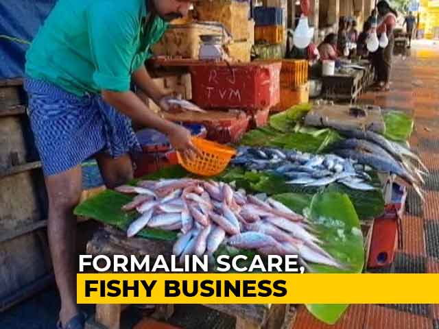 Formalin Scare Hits Fish Markets In Assam; Kerala, Northeast Cautious