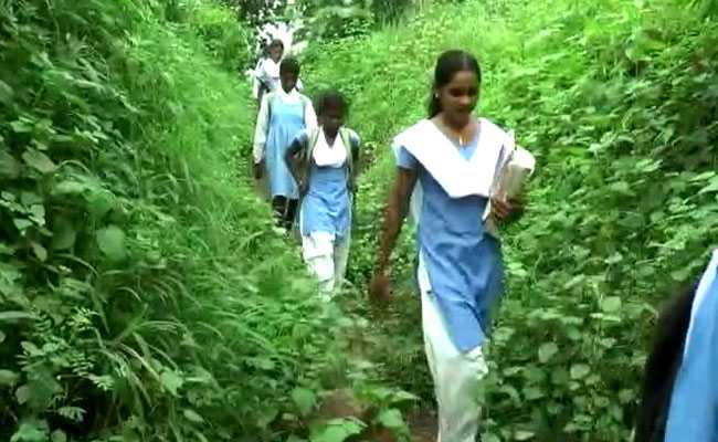In Madhya Pradesh, Students Cross Jungle, River To Attend School