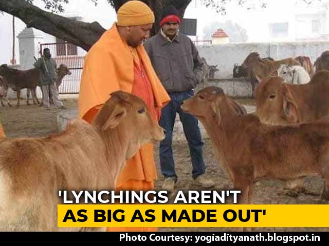 "Humans Important, So Are Cows": Yogi Adityanath's Take On Mob Attacks