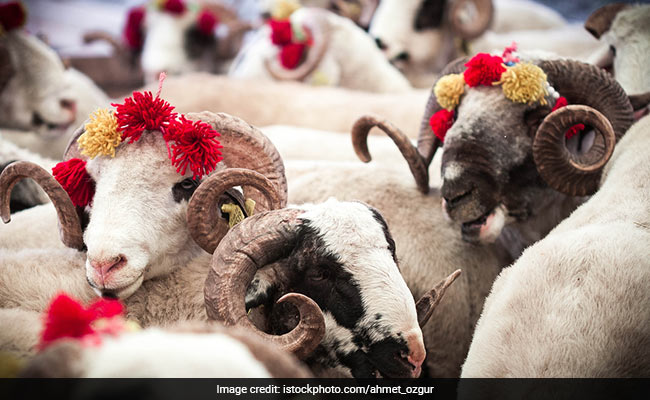 Bakrid 2020: कोरोना काल में ऑनलाइन बिक रहे हैं बकरे, की जा रही है होम डिलीवरी