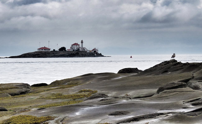 A 14th Human Foot - This One In A Hiking Boot - Washes Ashore In Canada