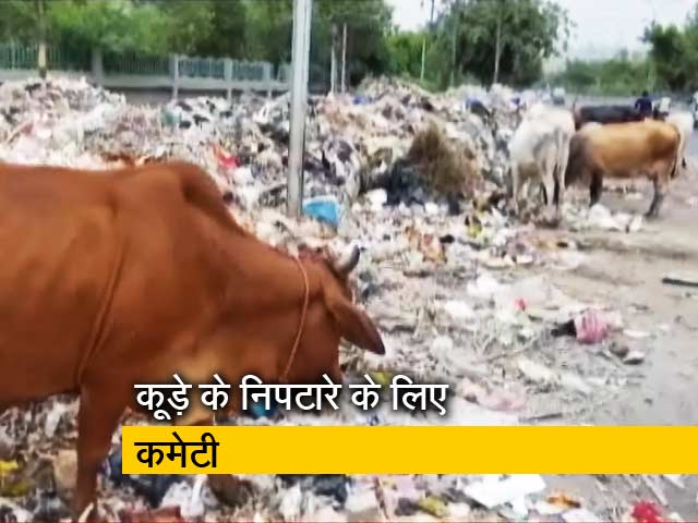 नोएडा : कूड़ा डंप करने के एवज में नौकरी