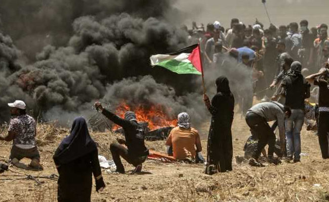 "Seems Anyone Is Liable To Be Shot Dead" In Gaza, Says United Nations