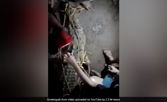 Crocodile, Snakes Take Over Kerala's Flooded Homes