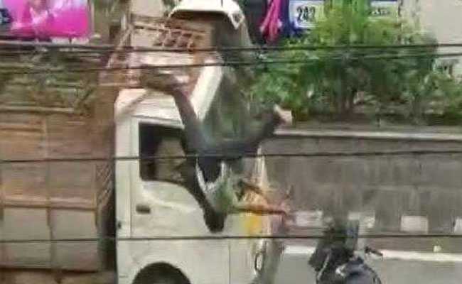 Watch: Telangana Motorcyclist Walks Off After Crashing Head-On Into Truck
