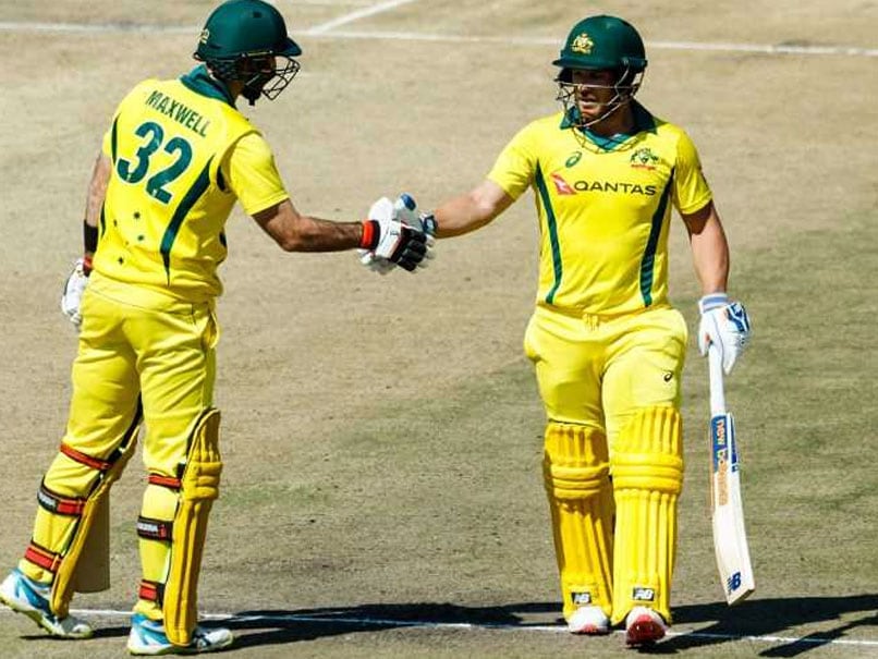 Glenn Maxwell Powers Australia To T20I Win Over Zimbabwe Glenn Maxwell Powers Australia To T20I Win Over Zimbabwe